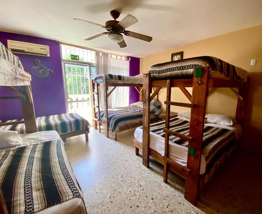 Wandering Monkey Guest House Mazatlán Exteriör bild